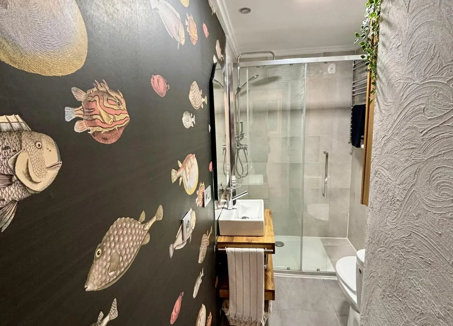 Apartamento A 100 Metros De La Playa Zurriola San Sebastián